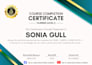 do data entry, copy paste, web research with fast delivery